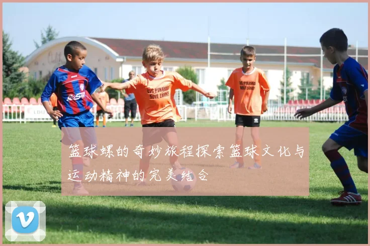 篮球螺的奇妙旅程探索篮球文化与运动精神的完美结合