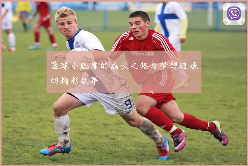 篮球小威廉的成长之路与梦想追逐的精彩故事