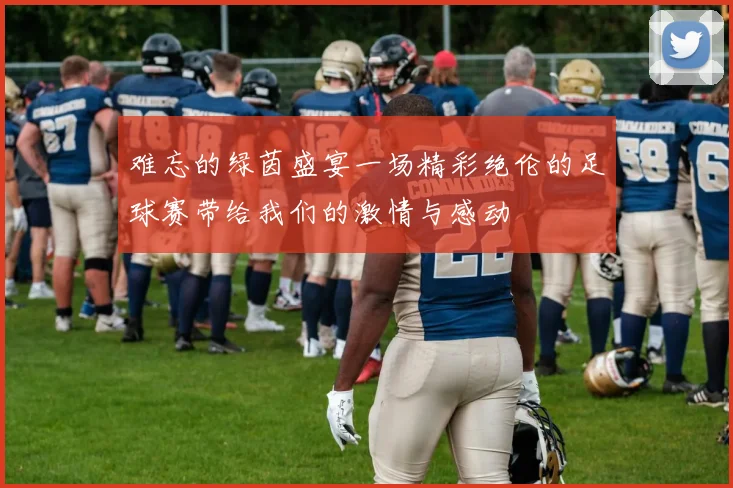 难忘的绿茵盛宴一场精彩绝伦的足球赛带给我们的激情与感动