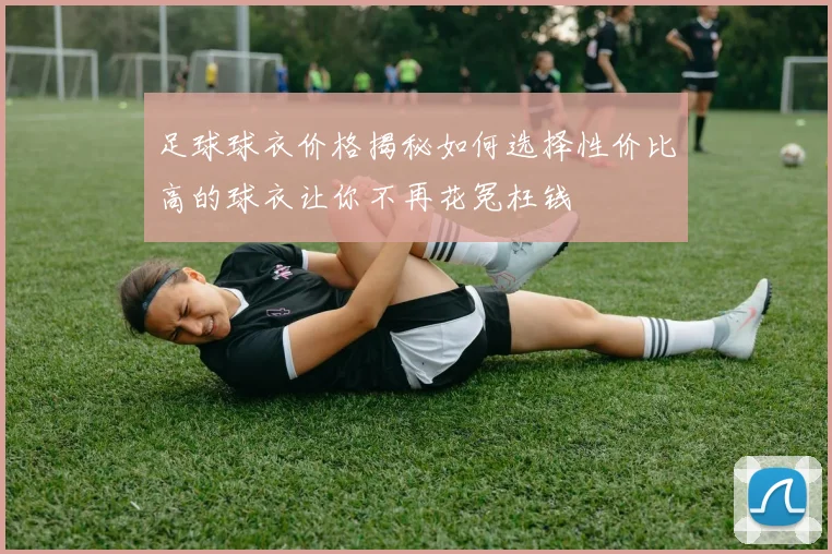 足球球衣价格揭秘如何选择性价比高的球衣让你不再花冤枉钱